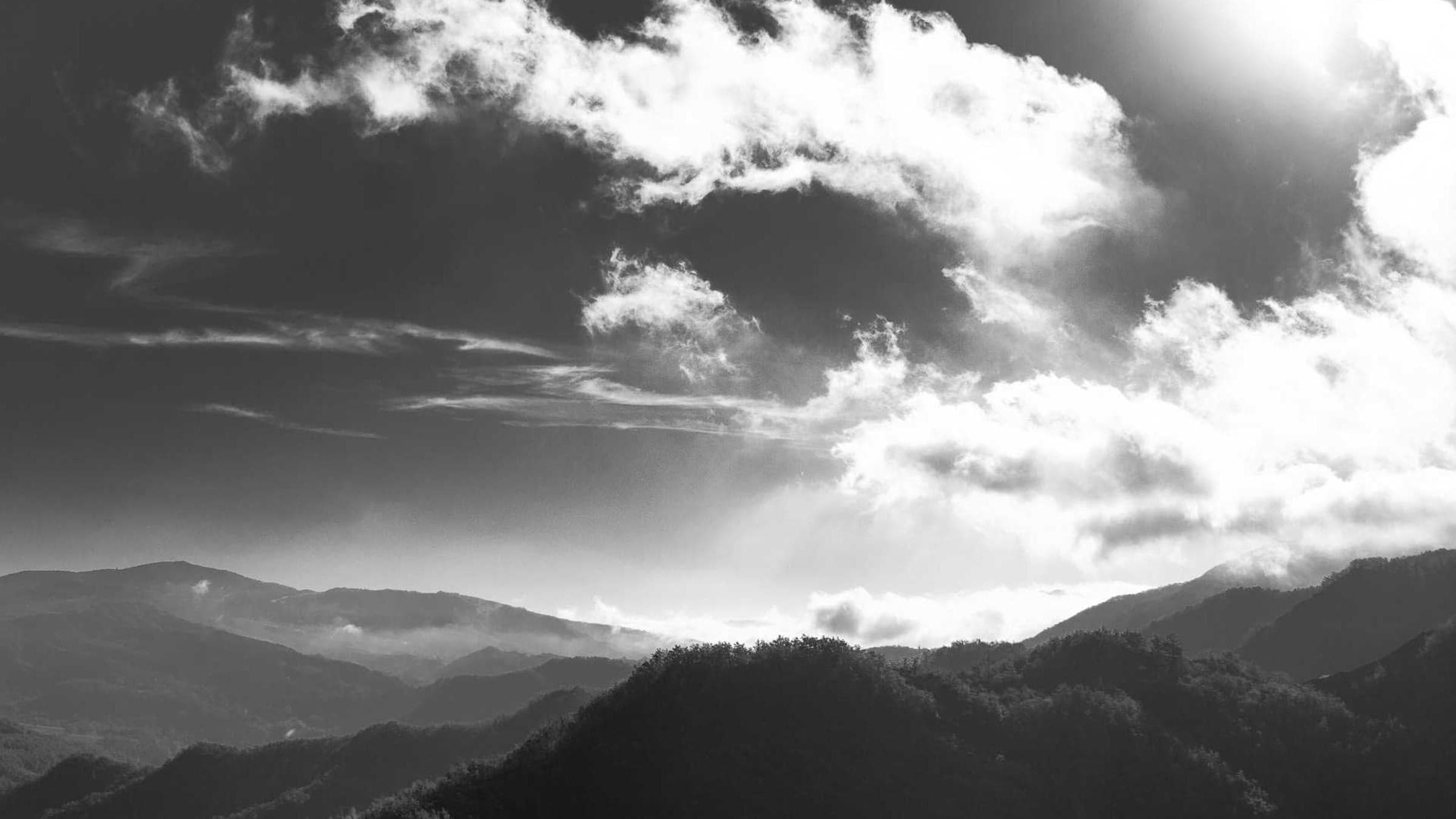 Valentina Ruiz banner